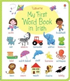 Brooks, Felicity Brooks, Felicity Brooks Brooks, Felicity Wood Brooks, Mairi Mackinnon, Hannah Wood... - My First Irish Word Book