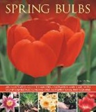Peter Mchoy, Mchoy Peter, Peter Anderson - Spring Bulbs