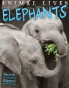 Sally Morgan - Elephants