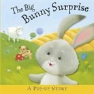 Liza Miller, Tamsin Hinrichsen - Big Bunny Surprise