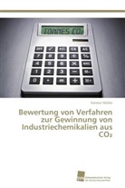 Karsten Müller - Bewertung von Verfahren zur Gewinnung von Industriechemikalien aus CO2