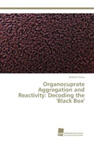 Aliaksei Putau - Organocuprate Aggregation and Reactivity: Decoding the 'Black Box'