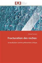 Renaud Toussaint, Toussaint-r - Fracturation des roches: