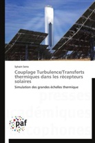 Sylvain Serra, Serra-s - Couplage turbulence transferts