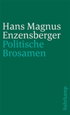 Hans Magnus Enzensberger - Politische Brosamen