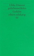 Ulrike Draesner - Gedächtnisschleifen