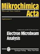 Abraha Boekestein, Abraham Boekestein, K Pavicevic, K Pavicevic, Miodrag K. Pavicevic - Electron Microbeam Analysis