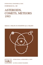 Mari Badiale, Marino Badiale, Mario Badiale, A Cellino, A. Cellino, M. Di Martino... - Asteroids, Comets, Meteors 1993