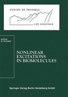 Miche Peyrard, Michel Peyrard - Nonlinear Excitations in Biomolecules