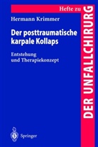 Hermann Krimmer - Der posttraumatische karpale Kollaps