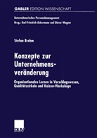 Stefan Brehm - Konzepte zur Unternehmensveränderung