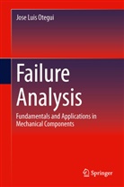 Jose Luis Otegui - Failure Analysis