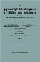 Chr. Bruhn, Friedric Hautmeyer, Friedrich Hautmeyer, Ma Kühl, Max Kühl, August Lindemann... - Die gegenwärtigen Behandlungswege der Kieferschussverletzungen