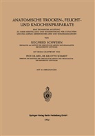 Siegfried Schwerin - Anatomische Trocken-, Feucht- und Knochenpräparate