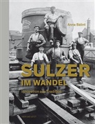 Anna Bálint, Anna Ballint - Sulzer im Wandel