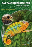 David Hellendrung - Das Pantherchamäleon