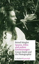 Bernd Stiegler - Spuren, Elfen und andere Erscheinungen