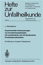 Leonhard Schweiberer - Experimentelle Untersuchungen von Knochentransplantaten mit unveränderter und mit denaturierter Knochengrundsubstanz