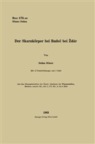 Du¿an N¿mec, Dusan Nemec - Der Skarnkörper bei Budec bei Zd'ár