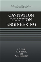 V S Moholkar, V. S. Moholkar, V.S. Moholkar, A Pandit, A B Pandit, A. B. Pandit... - Cavitation Reaction Engineering