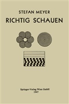 Stefan Meyer - Richtig Schauen
