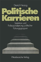 Dietrich Herzog - Politische Karrieren