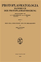 Eric Ponder - Red Cell Structure and Its Breakdown