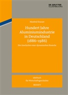 Manfred Knauer - Hundert Jahre Aluminiumindustrie in Deutschland (1886-1986)
