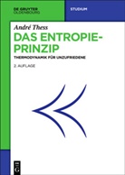 Andre Thess, André Thess - Das Entropieprinzip
