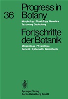 Hein Ellenberg, Heinz Ellenberg, Kar Esser, Karl Esser, Hermann Merxmüller, Hermann u Merxmüller... - Fortschritte der Botanik