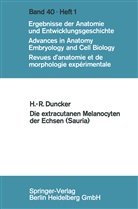 Hans-Rainer Duncker - Die extracutanen Melanocyten der Echsen (Sauria)