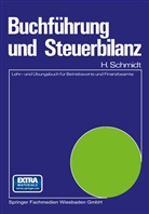 Harald Schmidt - Buchführung und Steuerbilanz