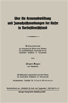 Jürgen Meyer - Über die Kronenabwölbung und Zuwachsschwankungen der Kiefer in Nordostdeutschland