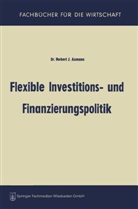 Norbert Joss Axmann - Flexible Investitions- und Finanzierungspolitik