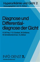 K. W. Frey, F. -D. Goebel, W. Gröbner, M. Schattenkirchner - Diagnose und Differentialdiagnose der Gicht