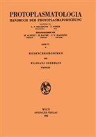 Wolfgang Beermann - Riesenchromosomen