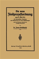 James Goldschmidt - Die neue Zivilprozeßordnung vom 13. Mai 1924 mit systematischer Einleitung und Erläuterung der neuen Bestimmungen
