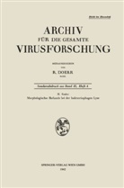 Helmut Ruska - Morphologische Befunde bei der bakteriophagen Lyse