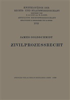 James Paul Goldschmidt - Zivilprozessrecht