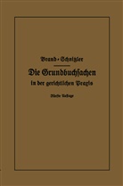 Arthu Brand, Arthur Brand, Leo Schnitzler - Die Grundbuchsachen in der gerichtlichen Praxis