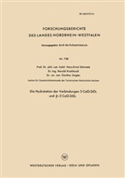 Hans-Ernst Schwiete - Die Hydratation der Verbindungen 3 CaO.SiO2 und -2 CaO.SiO2
