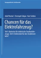 Christop Fabjan, Christoph Fabjan, Adol Neckel, Adolf Neckel, Kurt Selden - Chancen für das Elektrofahrzeug?