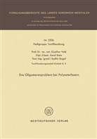 Giselher Valk - Das Oligomerenproblem bei Polyesterfasern