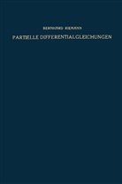 Bernhard Riemann - Partielle Differentialgleichungen und ihre Anwendungen auf physikalische Fragen