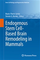 G Kernie, G Kernie, Marie-Pierr Junier, Marie-Pierre Junier, Steven G. Kernie - Endogenous Stem Cell-Based Brain Remodeling in Mammals