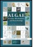 L. Barsanti, Laura Barsanti, Laura (Istituto DI Biofisica Barsanti, Laura Gualtieri Barsanti, Laura/ Gualtieri Barsanti, Barsanti Laura... - Algae