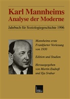 Martin Endreß, Ilja Srubar - Karl Mannheims Analyse der Moderne