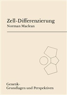 N Maclean, N. Maclean - Zell-Differenzierung