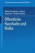 Eckhar Bergmann, Eckhard Bergmann, Christia Kastrop, Christian Kastrop, NA NA, W Steinheuer... - Öffentliche Haushalte und Risiko