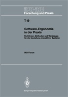 Hans-Jör Bullinger, Hans-Jörg Bullinger - Software-Ergonomie in der Praxis